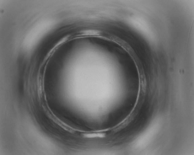 X0000077341487200611101536
