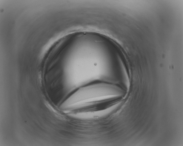 X0000077341503200611101536