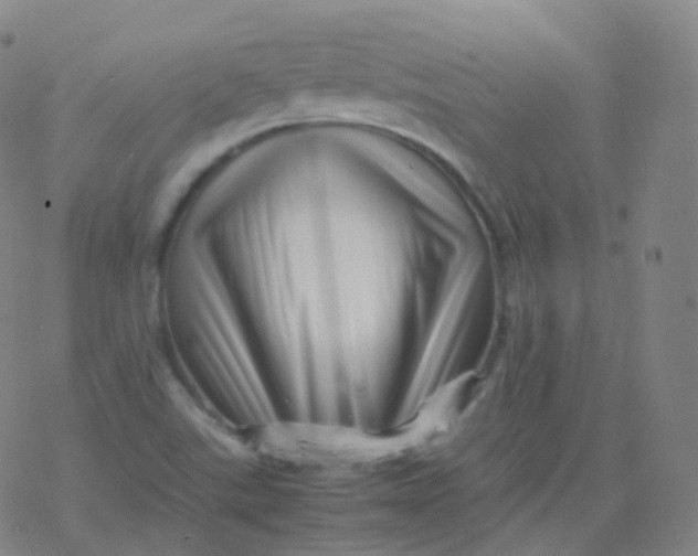X0000077341507200611101536