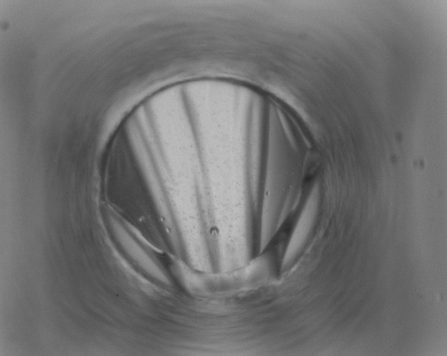 X0000077341508200611101536