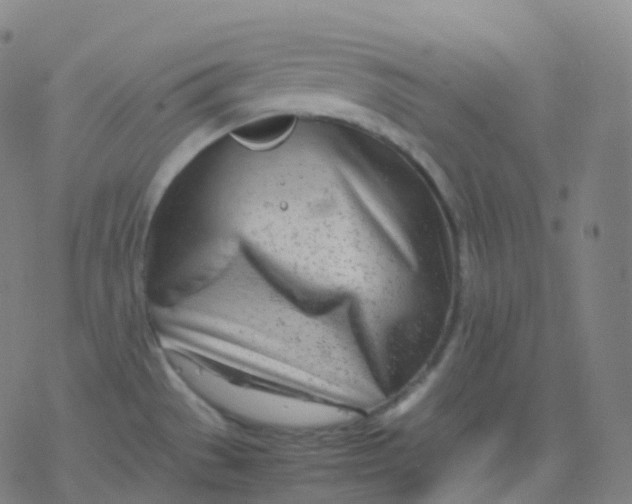 X0000077341529200611101536