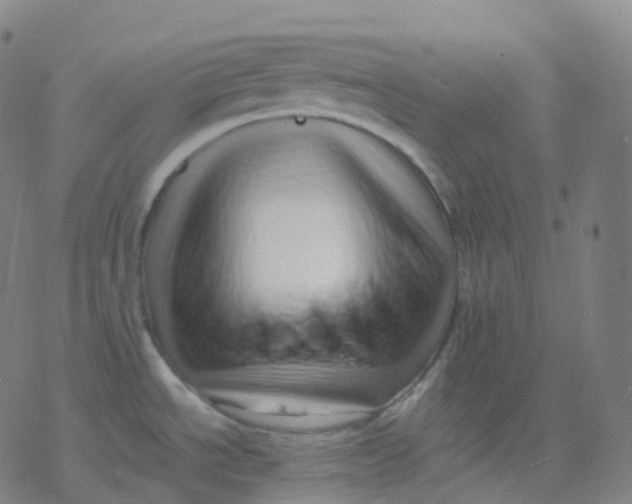X0000077341534200611101536