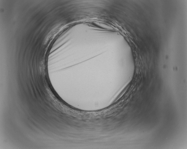 X0000077340002200611171844
