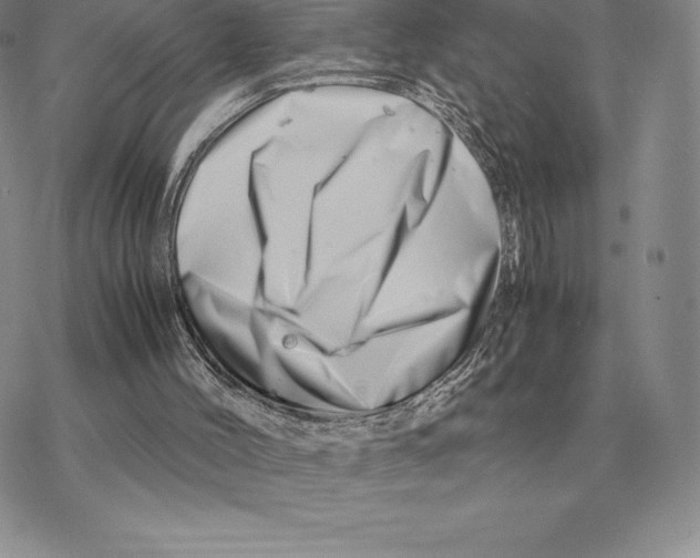 X0000077340004200611171844