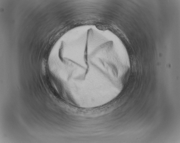 X0000077340026200611171844