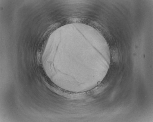 X0000077340036200611171843