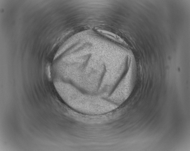 X0000077340042200611171843