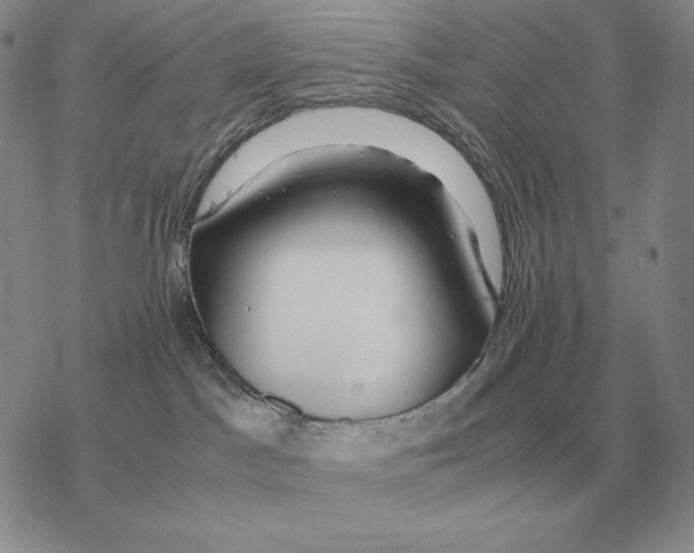 X0000077340045200611171843