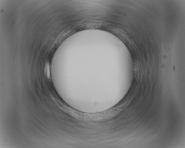 X0000077340046200611171843
