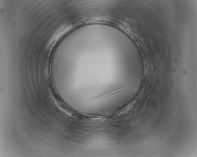 X0000077340050200611171843
