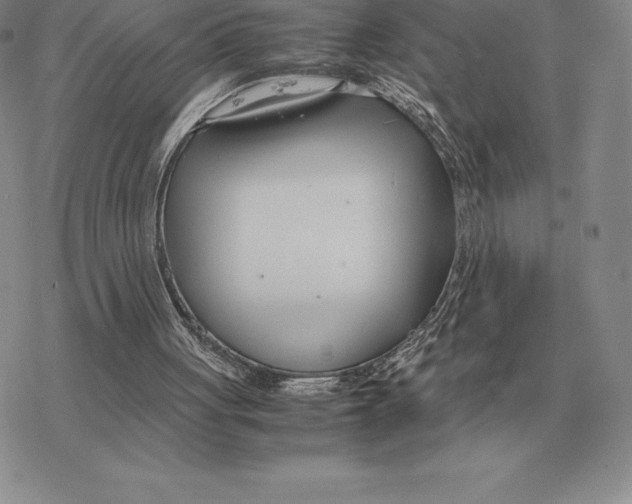 X0000077340051200611171843