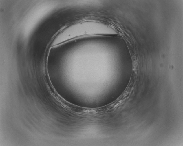 X0000077340052200611171843