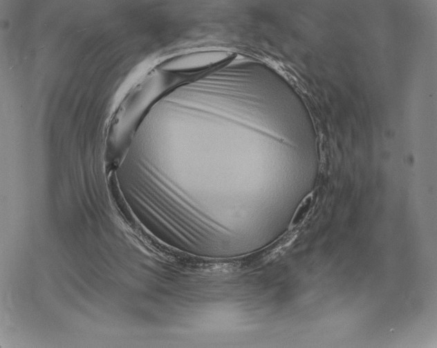 X0000077340056200611171843