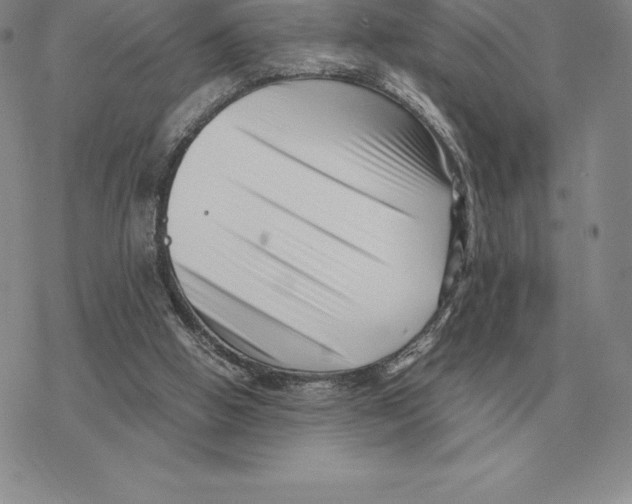 X0000077340058200611171843