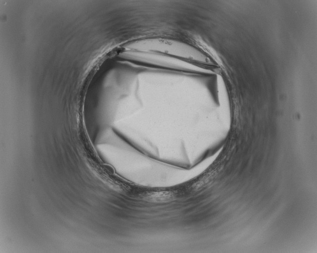 X0000077340059200611171843