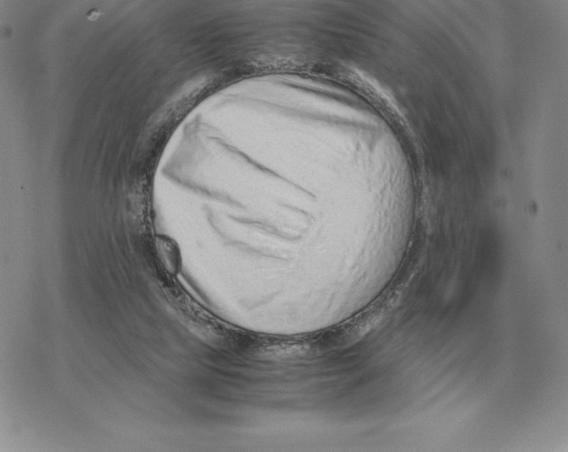 X0000077340065200611171843