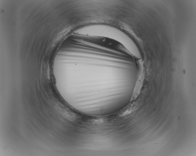 X0000077340068200611171843