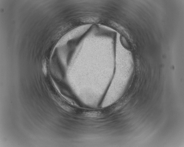 X0000077340069200611171843