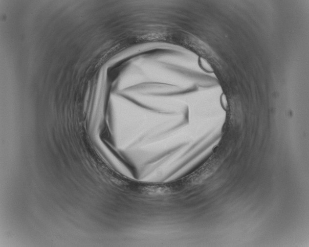 X0000077340073200611171843