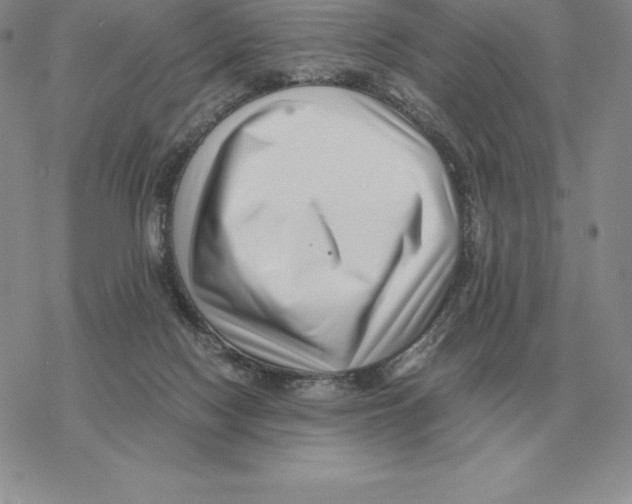 X0000077340074200611171843
