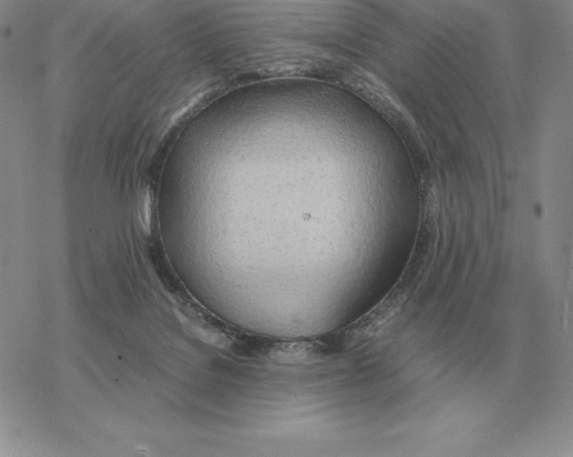 X0000077340076200611171843