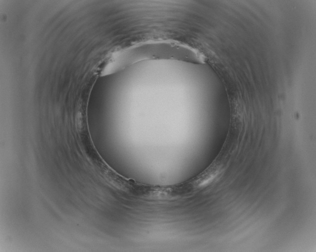 X0000077340080200611171843