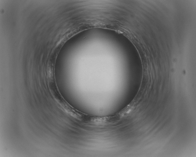 X0000077340084200611171843