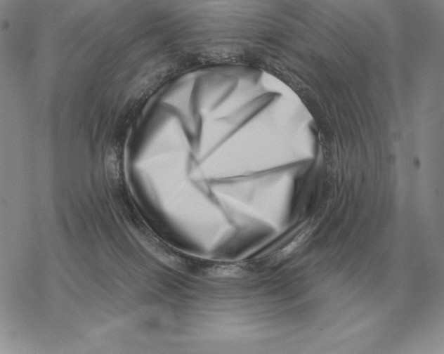 X0000077340086200611171843