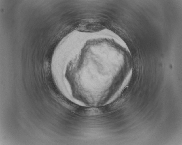X0000077340087200611171843