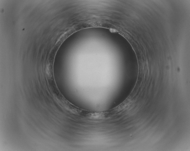 X0000077340088200611171843