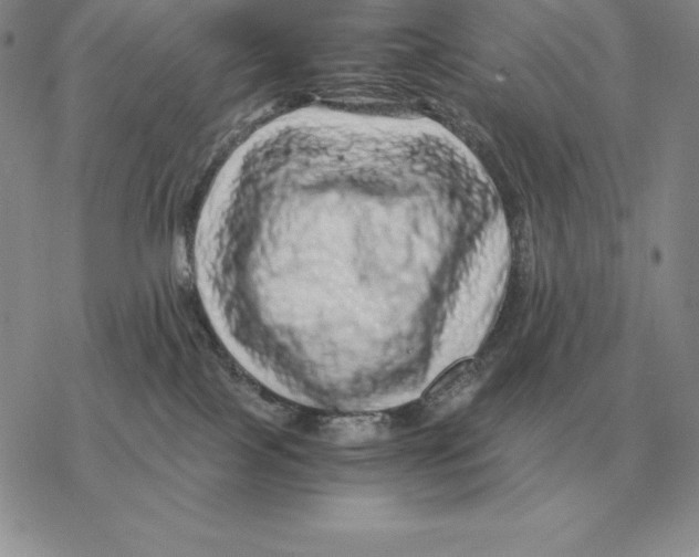X0000077340089200611171843