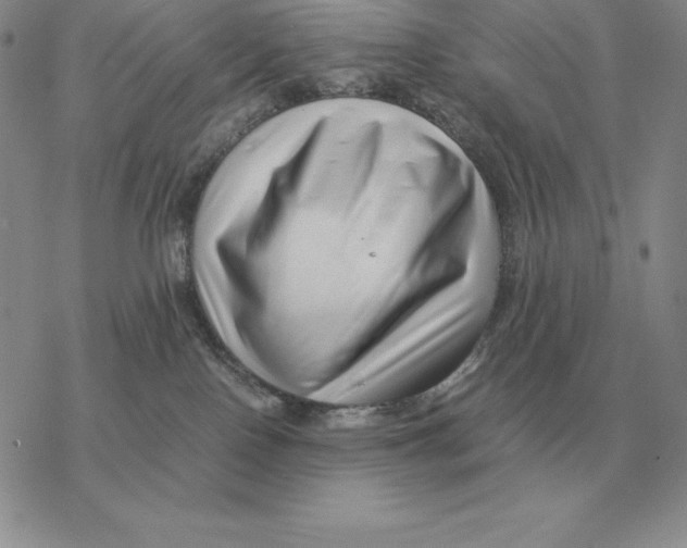 X0000077340090200611171843