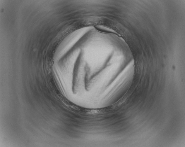 X0000077340091200611171843