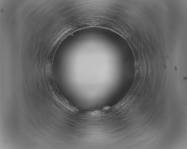 X0000077340092200611171843