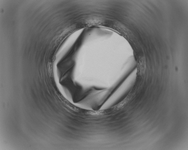 X0000077340093200611171843