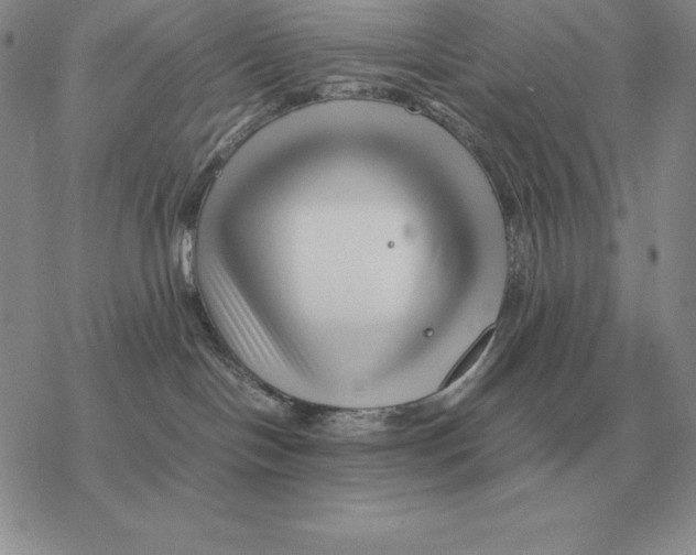 X0000077340094200611171843