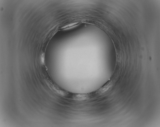 X0000077340095200611171843