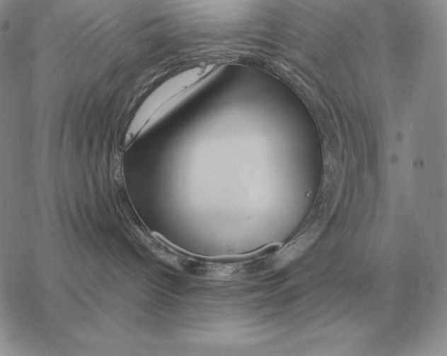 X0000077340096200611171843