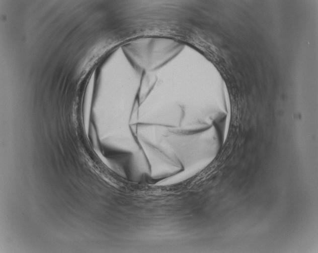 X0000077340098200611171842
