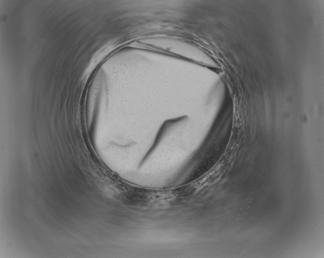 X0000077340099200611171842