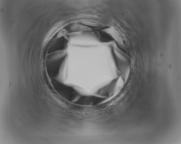 X0000077340101200611171842