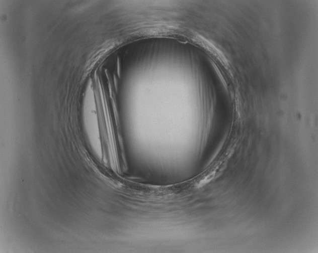 X0000077340105200611171842