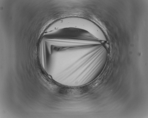 X0000077340107200611171842