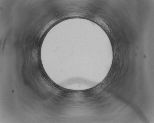 X0000077340108200611171842