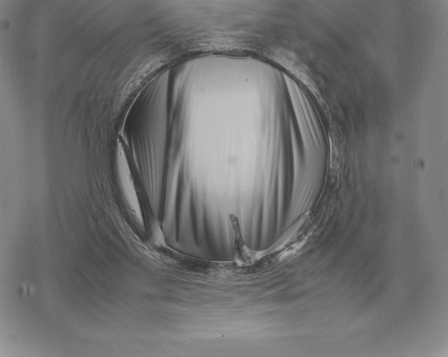 X0000077340109200611171842