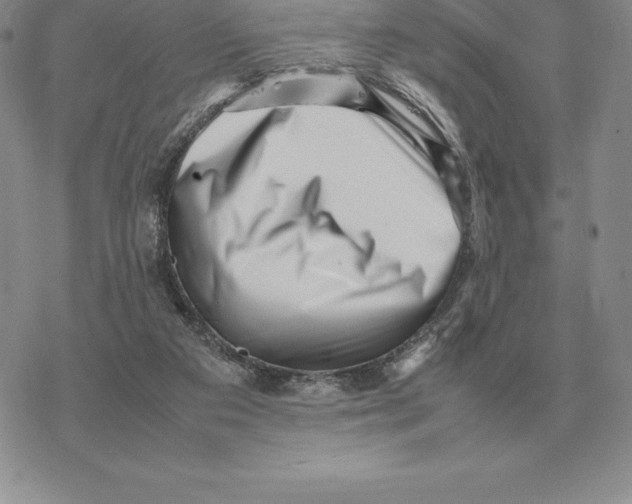 X0000077340113200611171842