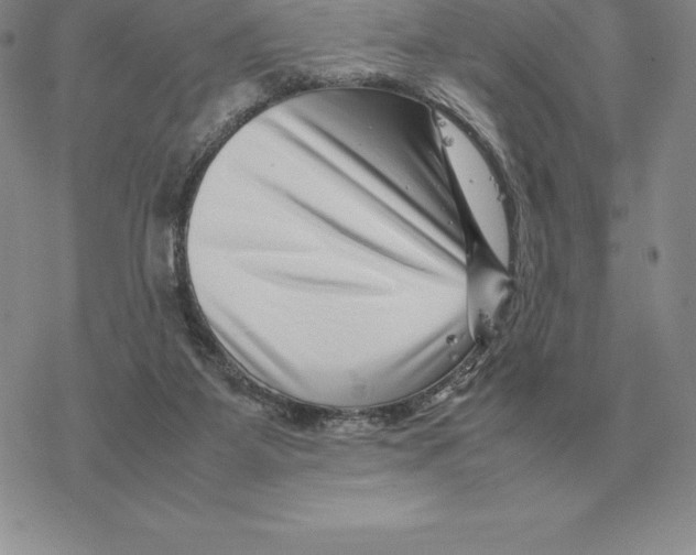 X0000077340115200611171842