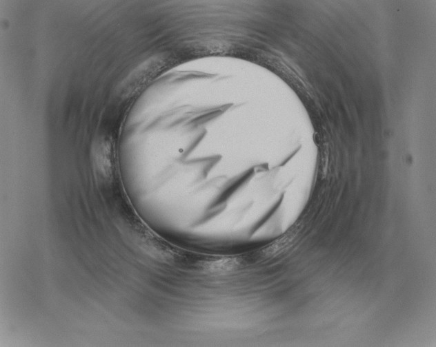 X0000077340122200611171842