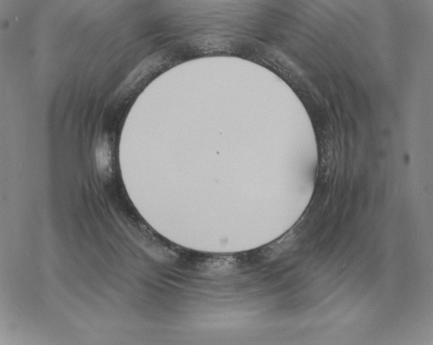 X0000077340124200611171842