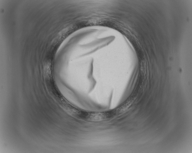 X0000077340127200611171842